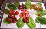  photo TomatoTastingPlate 7Mar15_zps0zxwhoez.jpg